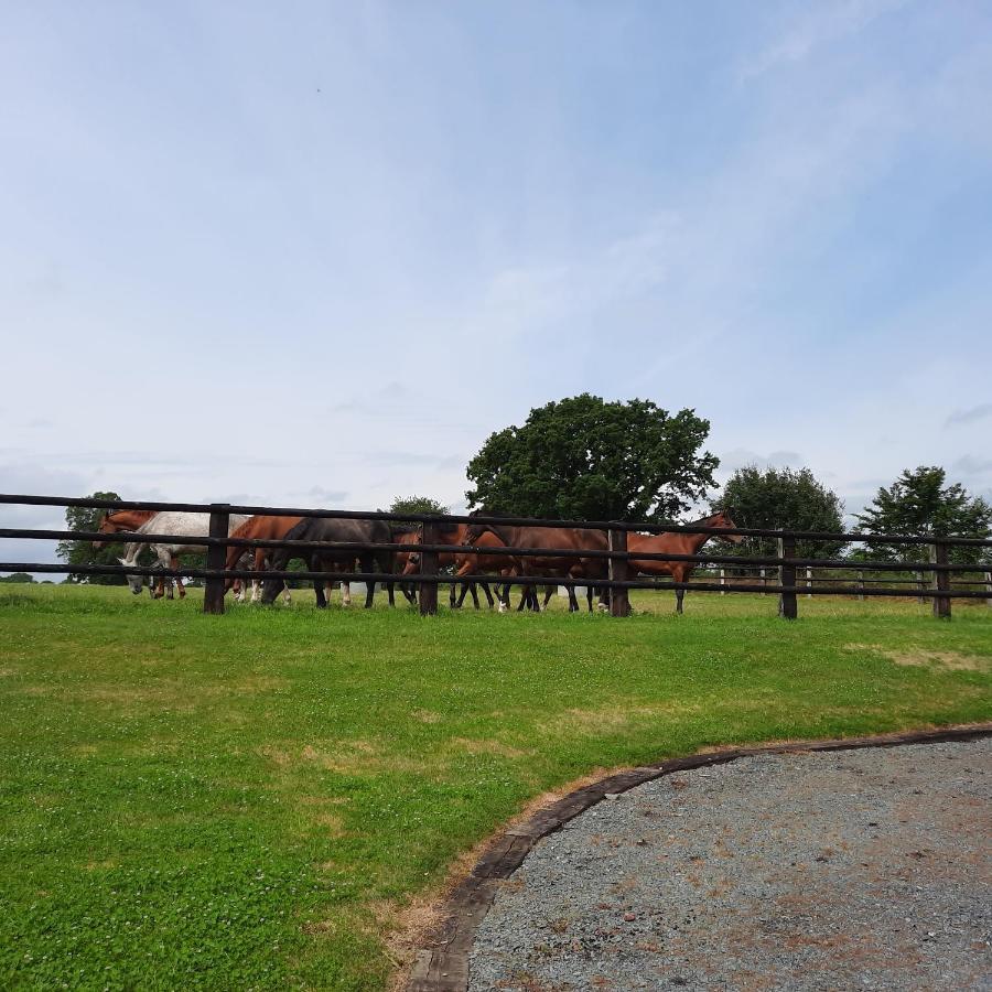 Gite De Blagny Saint-Clair-sur-l'Elle Exterior photo